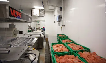 Food & Beverage Processing