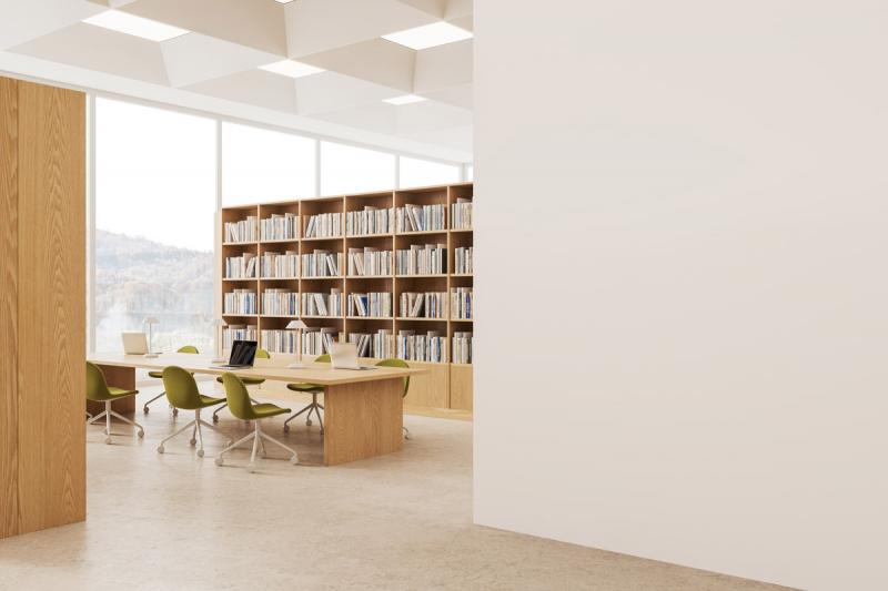 Wall Protection Strategies for High-Traffic Library Environments