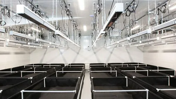 Commercial Wall Installation, Vancouver